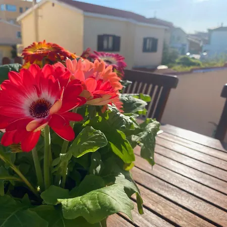 Cityloft Apartmán Olbia