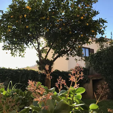 Cityloft * Olbia