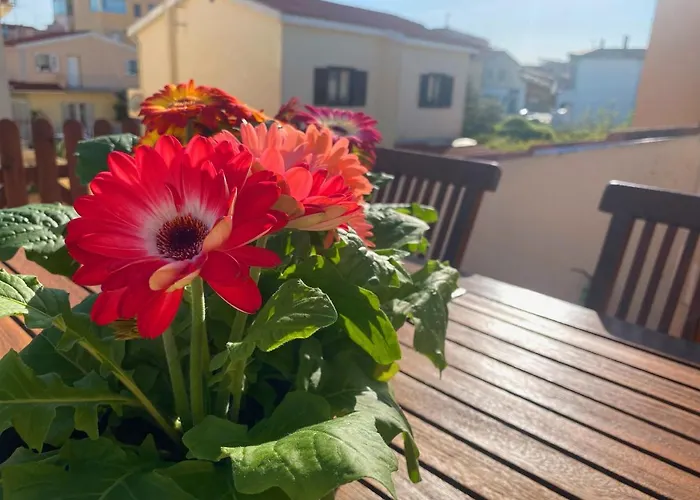 Cityloft Appartamento Olbia